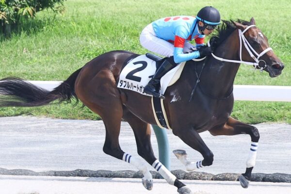 チャンピオンズC2025調教チェック！特Ａ評価・調教爆穴はこの馬だ！