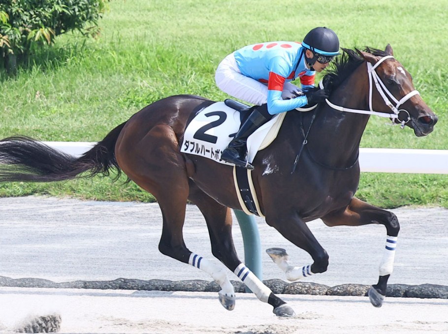 チャンピオンズC2025調教チェック！特Ａ評価・調教爆穴はこの馬だ！