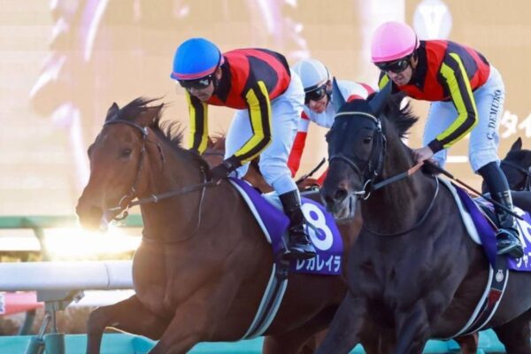 有馬記念2025データ分析！大穴はこの馬じゃー！