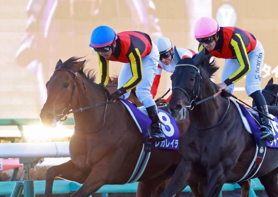 有馬記念2025データ分析！大穴はこの馬じゃー！