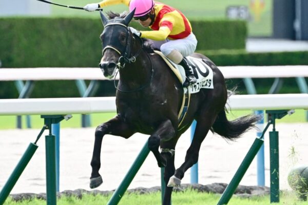 ホープフルS2025予想！大穴狙いで逝くぜぇ！