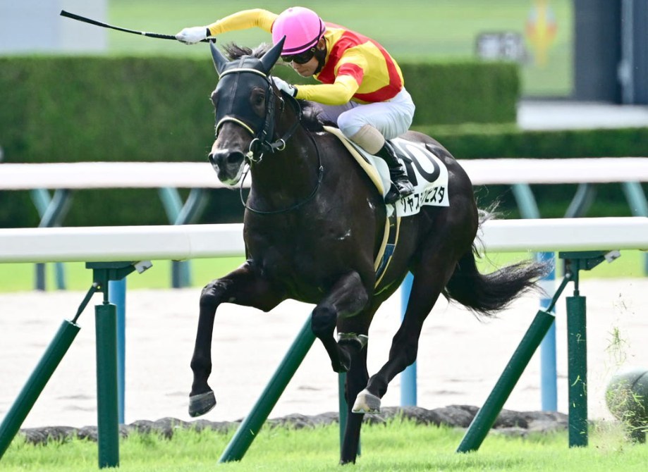 ホープフルS2025予想！大穴狙いで逝くぜぇ！