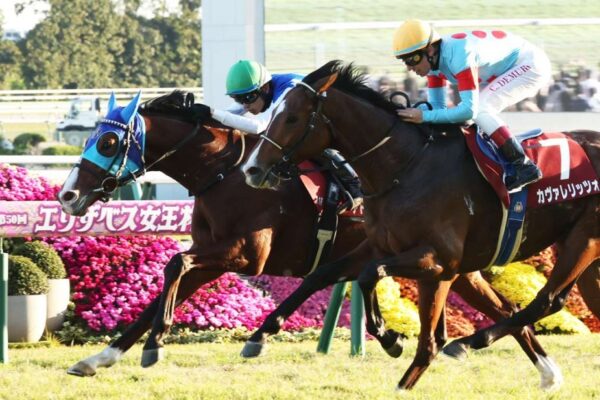 朝日杯フューチュリティS2025調教チェック！特A評価はこの馬だ！