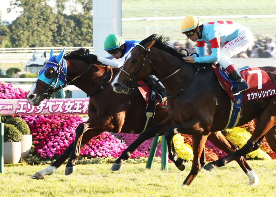 朝日杯フューチュリティS2025調教チェック！特A評価はこの馬だ！