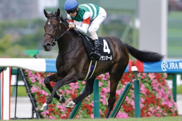 阪神JF2025データ分析！大穴はこの馬じゃー！