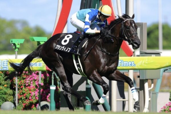 鳴尾記念2025データ分析！大穴はこの馬じゃー！