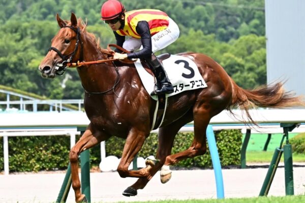 阪神JF2025予想！大穴狙いで逝くぜぇ！