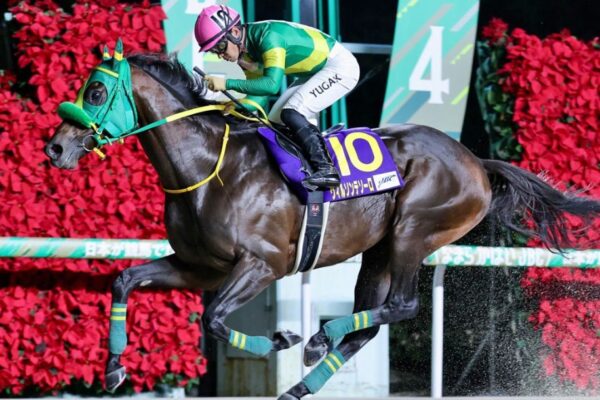 チャンピオンズカップ2025予想！大穴狙いで逝くぜぇ！