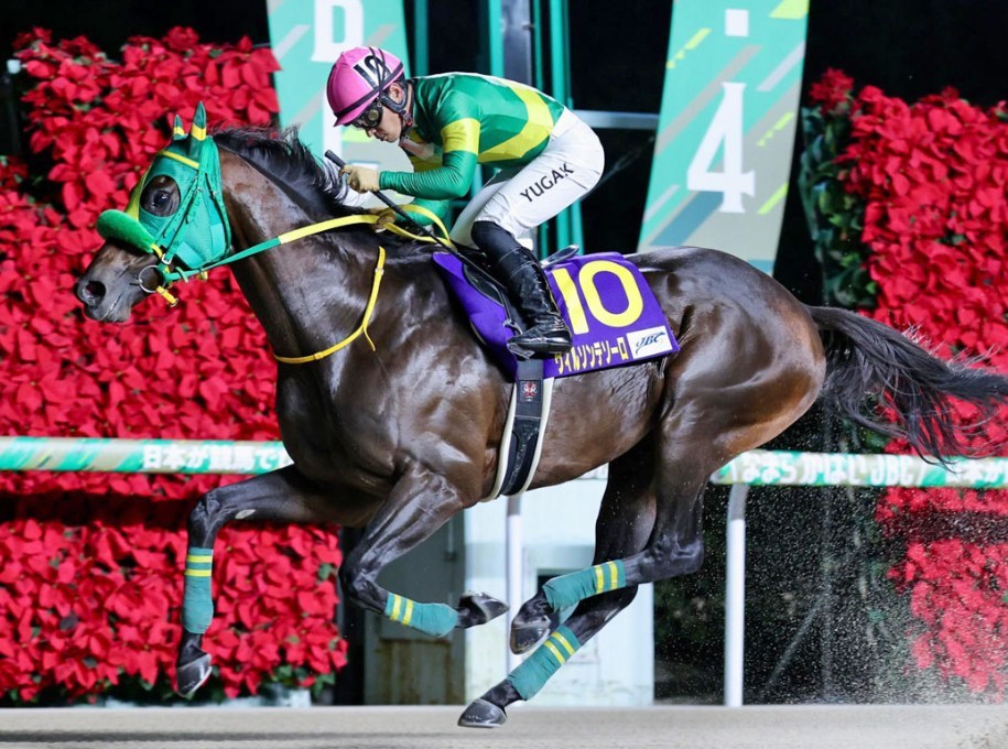 チャンピオンズカップ2025予想！大穴狙いで逝くぜぇ！