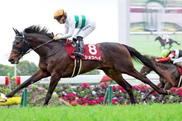 AJCC2026データ分析！大穴はこの馬じゃー！