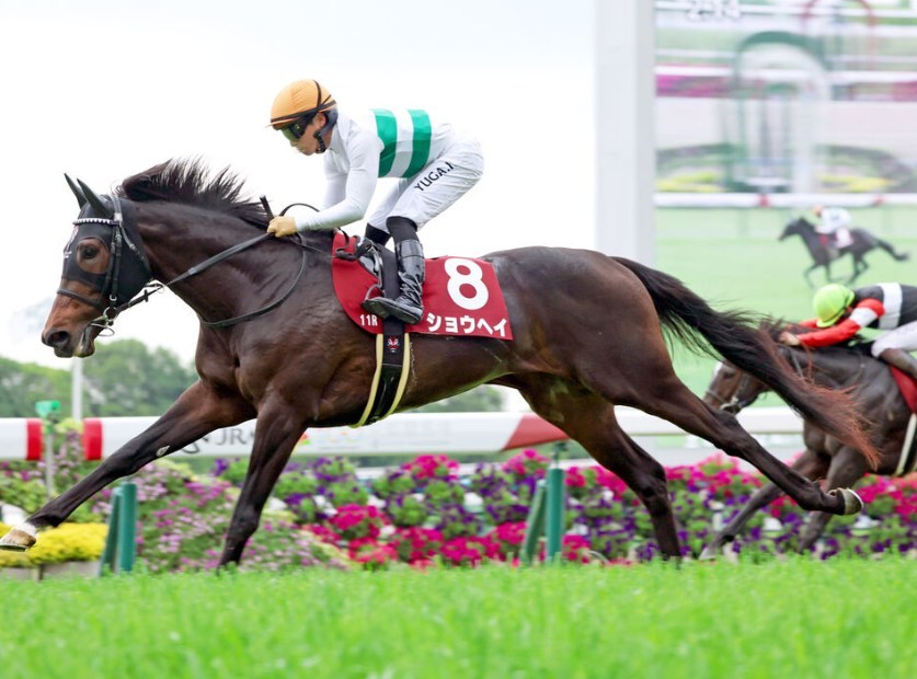 AJCC2026データ分析！大穴はこの馬じゃー！