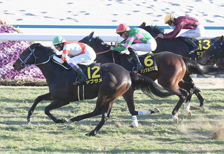 シルクロードS2026予想！大穴狙いで逝くぜぇ！