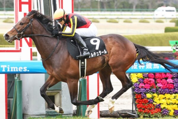 日経新春杯2026データ分析！大穴はこの馬じゃー！