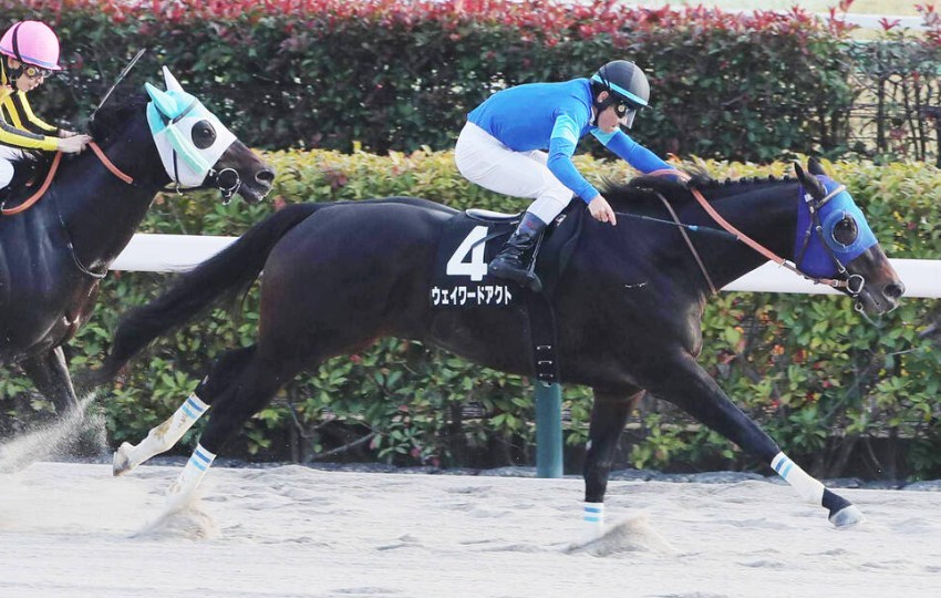 根岸S2026データ分析！大穴はこの馬じゃー！