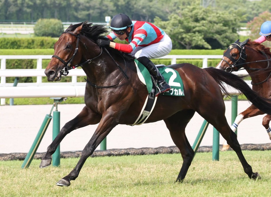 京都金杯＆中山金杯2026予想！大穴狙いで逝くぜぇ！