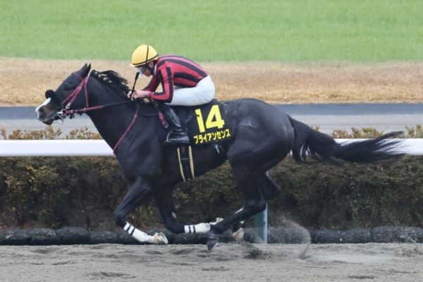 プロキオンS2026データ分析！大穴はこの馬じゃー！