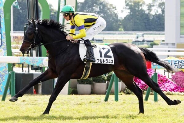 シンザン記念2026予想・・・今回お休み。