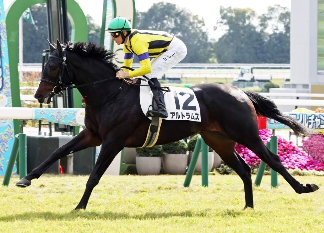 シンザン記念2026予想・・・今回お休み。