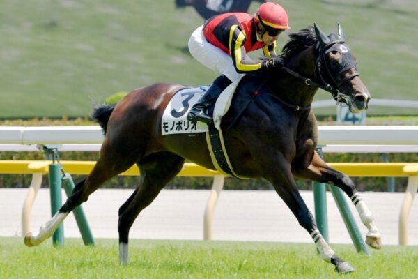 シンザン記念2026データ分析！大穴はこの馬じゃー！