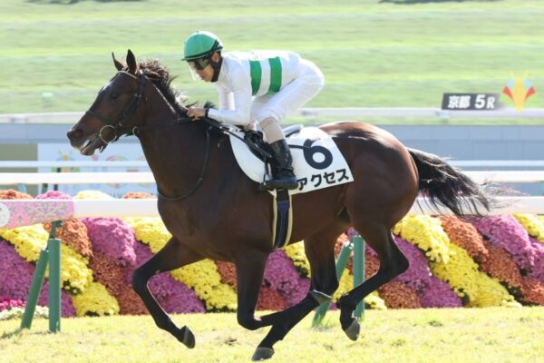 京成杯2026予想！大穴狙いで逝くぜぇ！