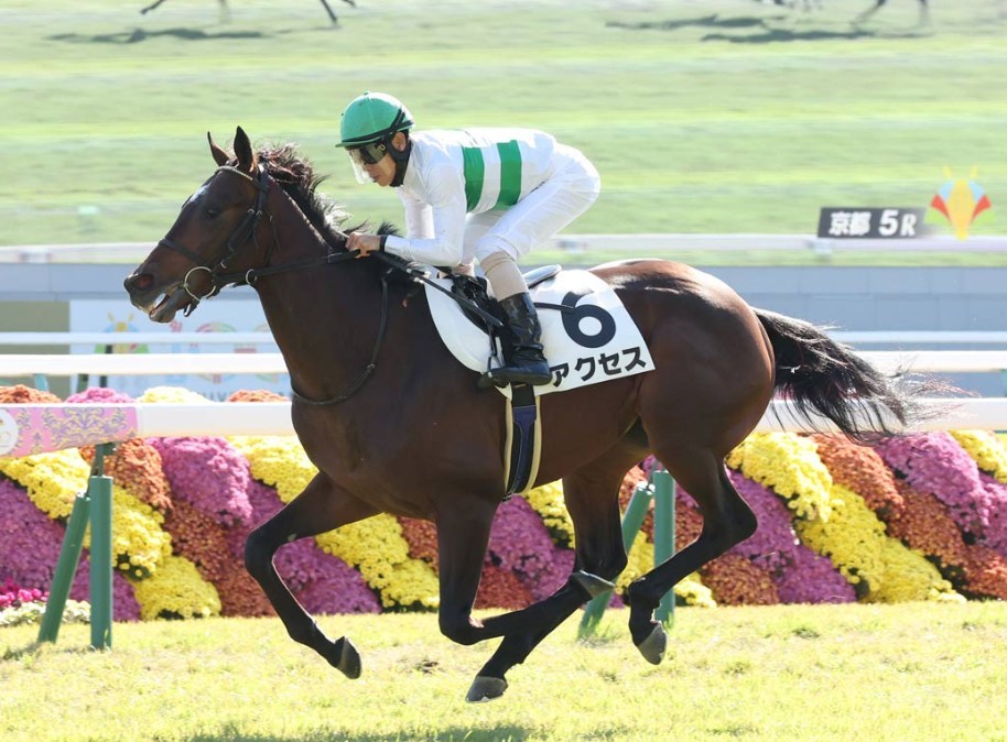 京成杯2026予想！大穴狙いで逝くぜぇ！