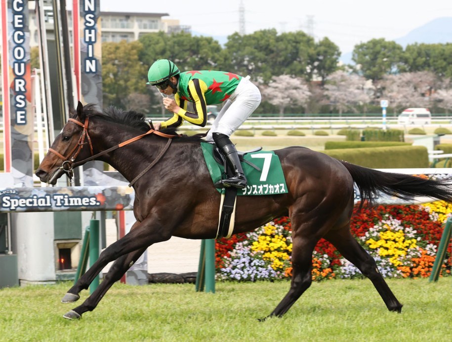 京都金杯2026データ分析！大穴はこの馬じゃー！