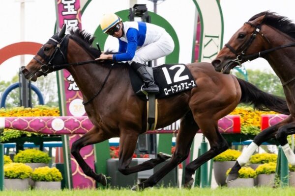 シルクロードS2026データ分析！大穴はこの馬じゃー！