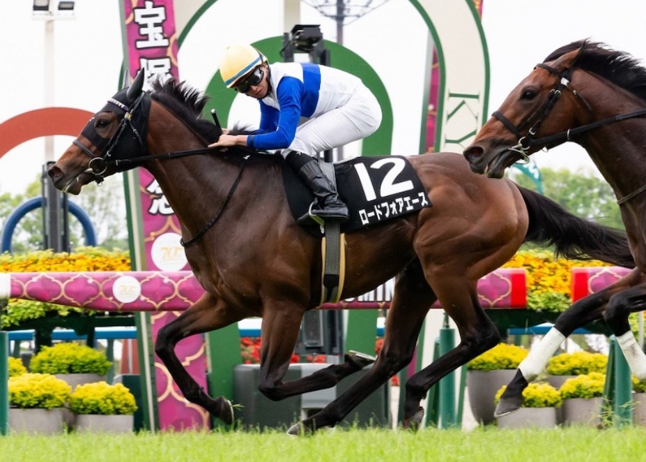 シルクロードS2026データ分析！大穴はこの馬じゃー！