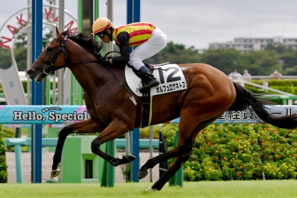 京成杯2026データ分析！大穴はこの馬じゃー！