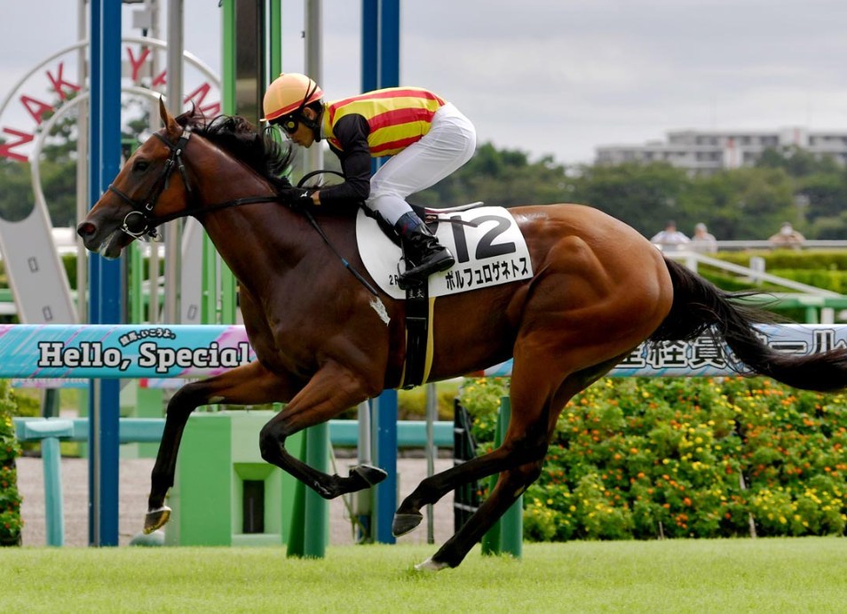 京成杯2026データ分析！大穴はこの馬じゃー！