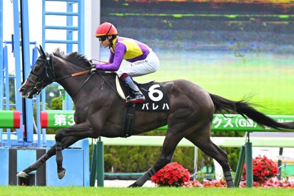 小倉牝馬S2026予想！大穴狙いで逝くぜぇ！