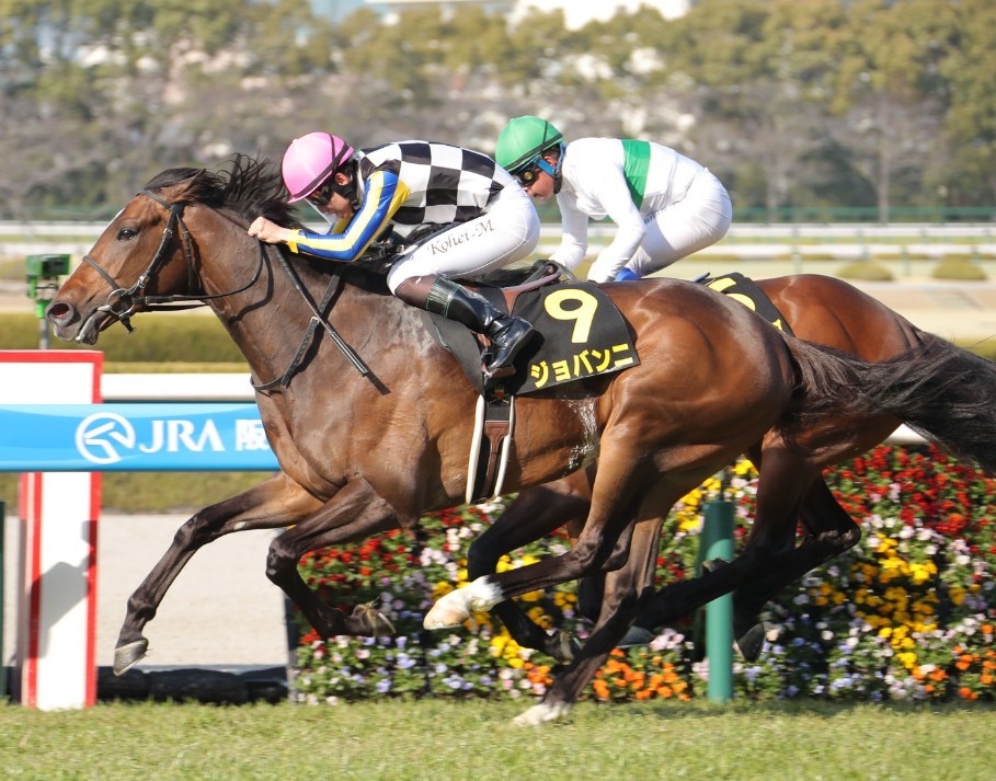 AJCC2026予想！大穴狙いで逝くぜぇ！