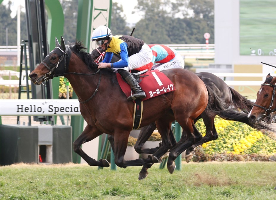 京都記念2026予想！大穴狙いで逝くぜぇ！