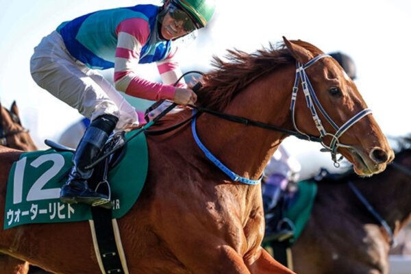 東京新聞杯2026データ分析！大穴はこの馬じゃー！