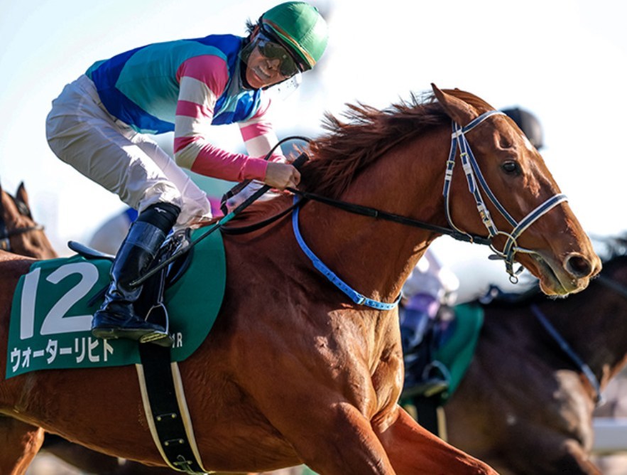 東京新聞杯2026データ分析！大穴はこの馬じゃー！