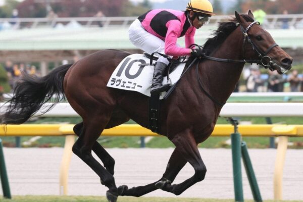 共同通信杯2026データ分析！大穴狙いは・・・ムリ？