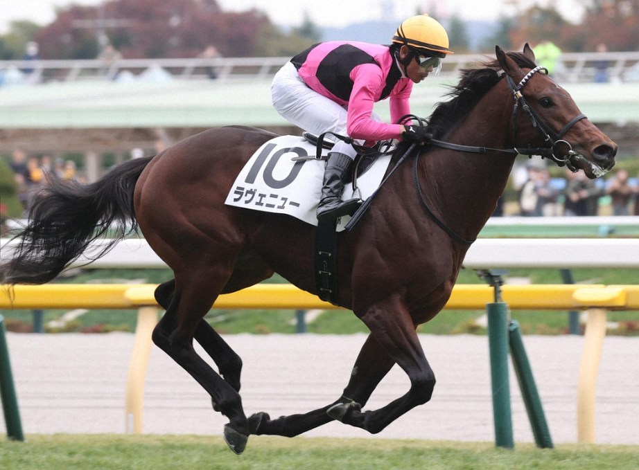 共同通信杯2026データ分析！大穴狙いは・・・ムリ？