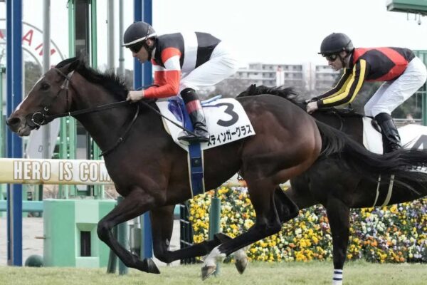 ダイヤモンドS2026データ分析！大穴はこの馬じゃー！