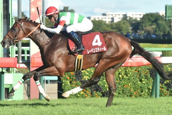 中山記念2026データ分析、大穴はこの馬じゃー！