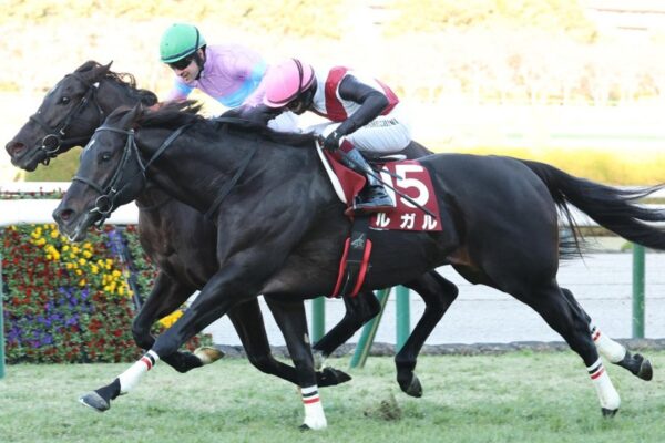 オーシャンS2026予想！大穴狙いで逝くぜぇ！