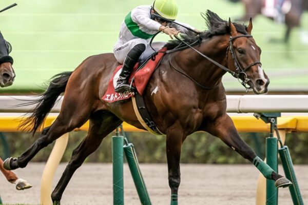 東京新聞杯2026予想！大穴狙いで逝くぜぇ！