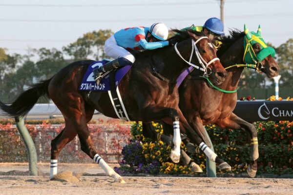 フェブラリーS2026データ分析！大穴はこの馬じゃー！