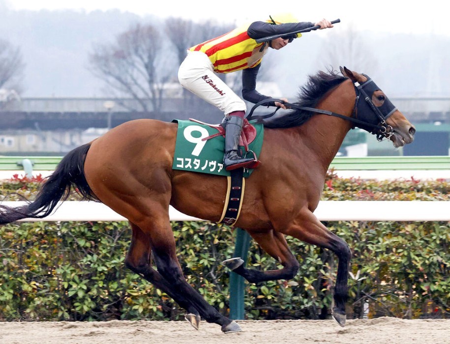 フェブラリーS2026調教チェック！特A評価はこの馬だ！