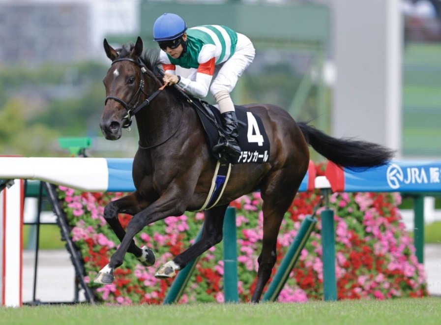 チューリップ賞2026データ分析、大穴はこの馬じゃー！