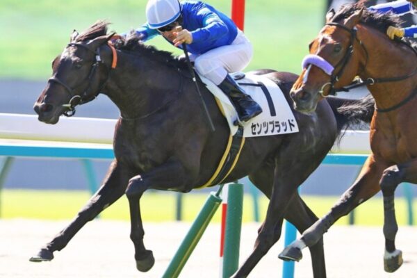 小倉大賞典2026データ分析！大穴はこの馬じゃー！