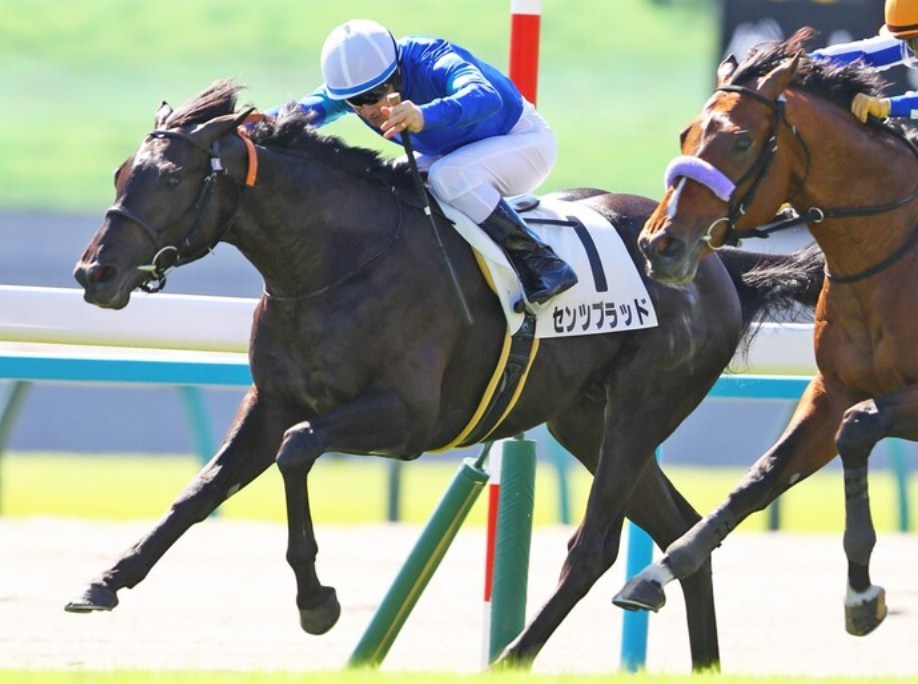 小倉大賞典2026データ分析！大穴はこの馬じゃー！