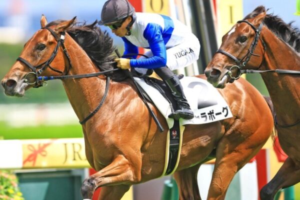 クイーンC2026データ分析！大穴はこの馬じゃー！