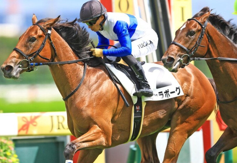 クイーンC2026データ分析！大穴はこの馬じゃー！