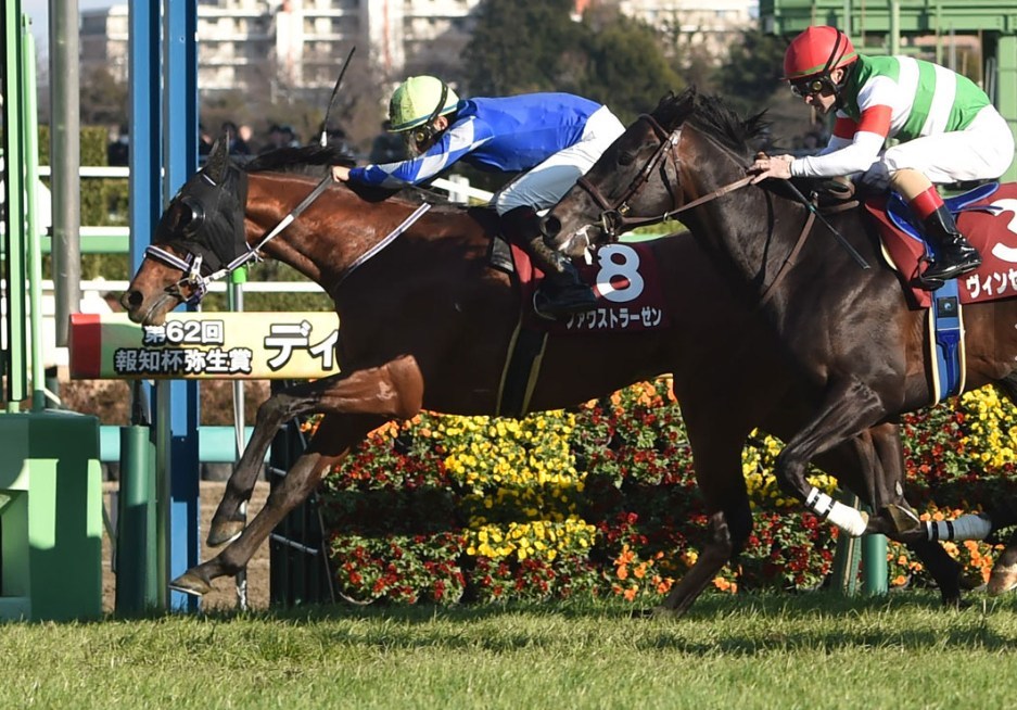 ダイヤモンドS2026予想！大穴狙いで逝くぜぇ！