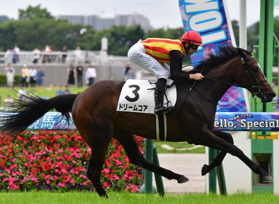 クイーンカップ2026予想！大穴狙いで逝くぜぇ！